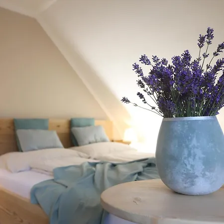 Mala Taverna Hotel *